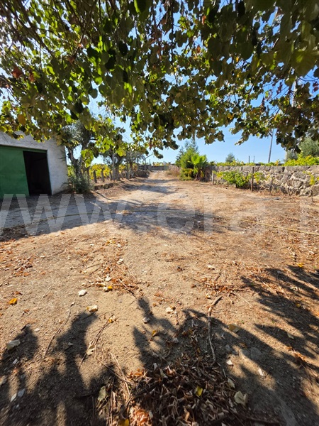 Quinta  Gouveia, Rio Torto e Lagarinhos - 1513630 - 18