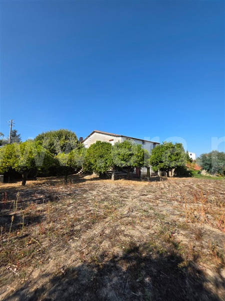 Quinta  Gouveia, Rio Torto e Lagarinhos - 1513630 - 19