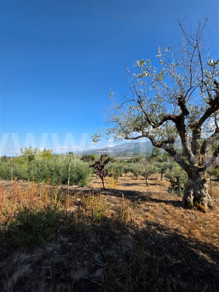 Quinta  Gouveia, Rio Torto e Lagarinhos - 1513630 - 20