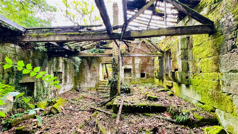 Quinta  Gouveia, Rio Torto e Lagarinhos - 1403423 - 7