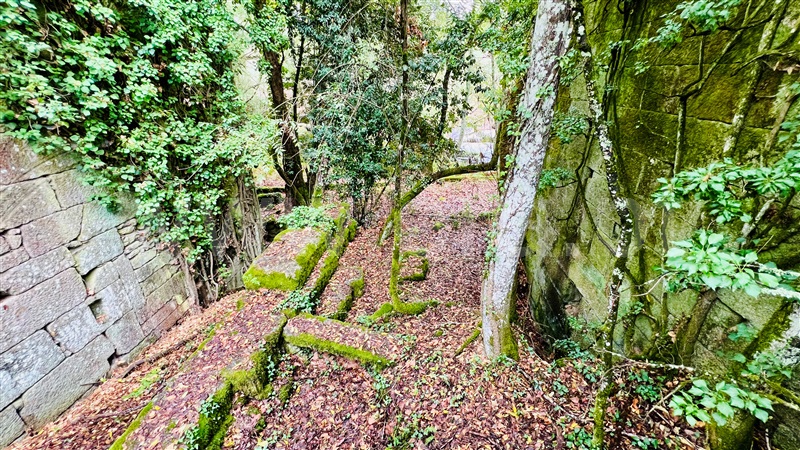 Quinta  Gouveia, Rio Torto e Lagarinhos - 1403423 - 8