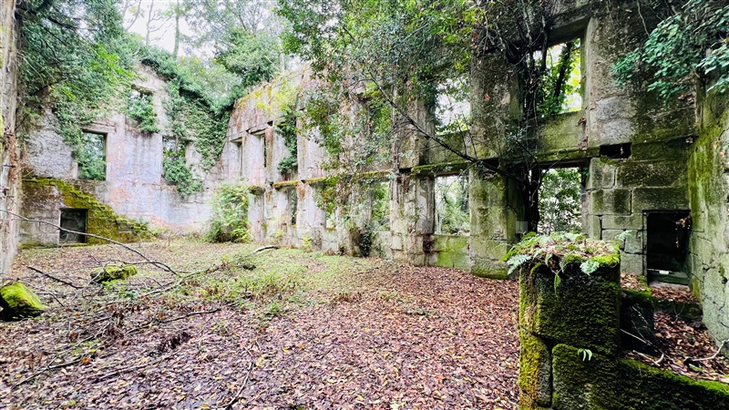 Quinta  Gouveia, Rio Torto e Lagarinhos - 1403423 - 11