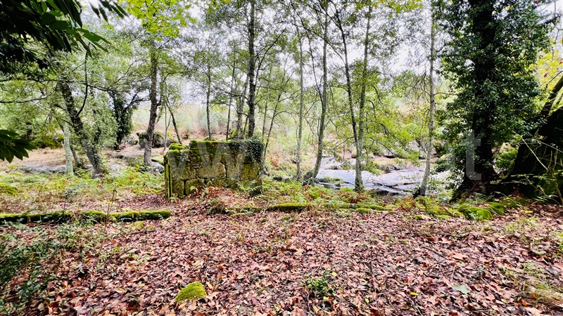 Quinta  Gouveia, Rio Torto e Lagarinhos - 1403423 - 12