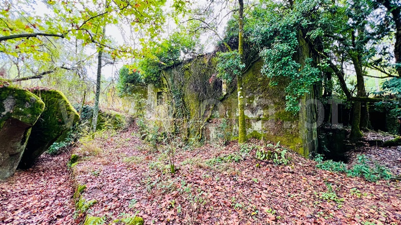 Quinta  Gouveia, Rio Torto e Lagarinhos - 1403423 - 13