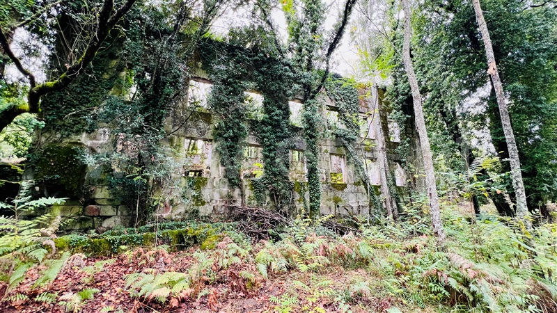 Quinta  Gouveia, Rio Torto e Lagarinhos - 1403423 - 14