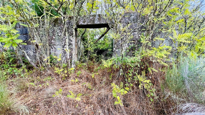 Quinta  Gouveia, Rio Torto e Lagarinhos - 1403423 - 22
