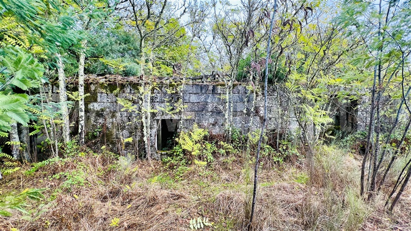 Quinta  Gouveia, Rio Torto e Lagarinhos - 1403423 - 24