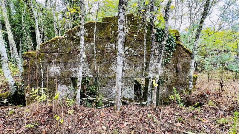Quinta  Gouveia, Rio Torto e Lagarinhos - 1403423 - 25