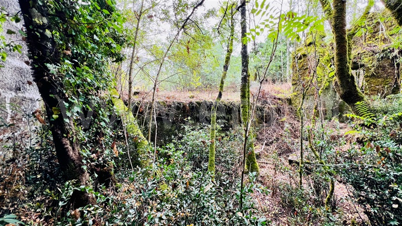Quinta  Gouveia, Rio Torto e Lagarinhos - 1403423 - 28