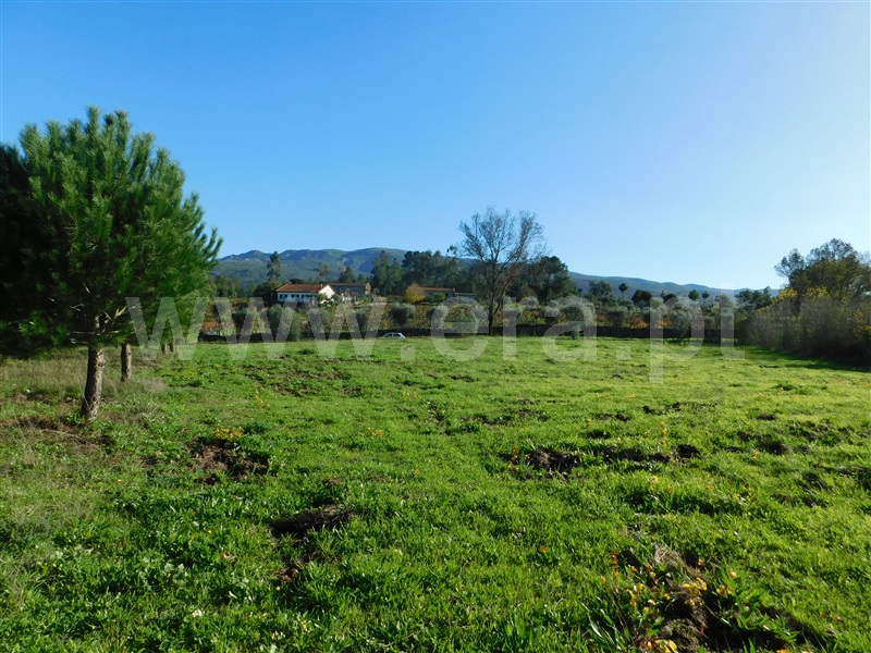 Quinta  Gouveia, São Paio - 1290739 - 10