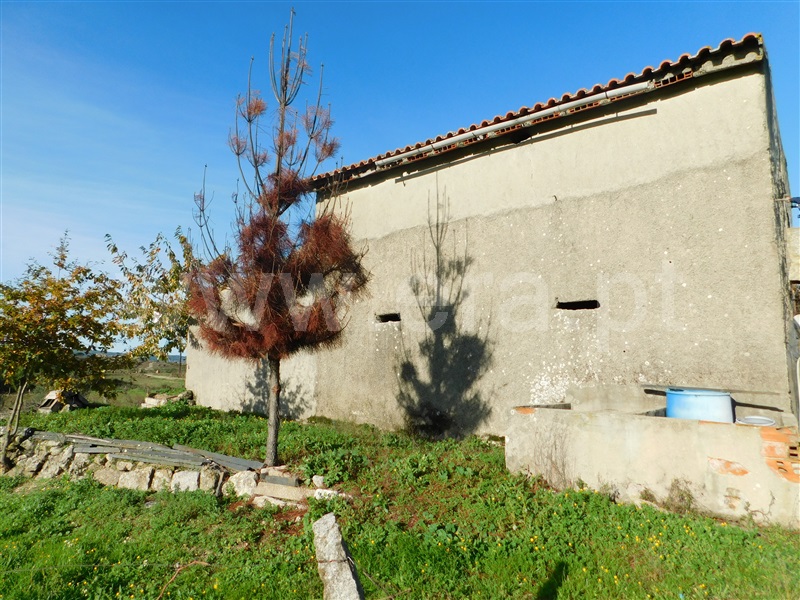 Quinta  Gouveia, São Paio - 1290739 - 14