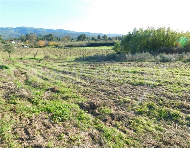 Quinta  Gouveia, São Paio - 1290739 - 18