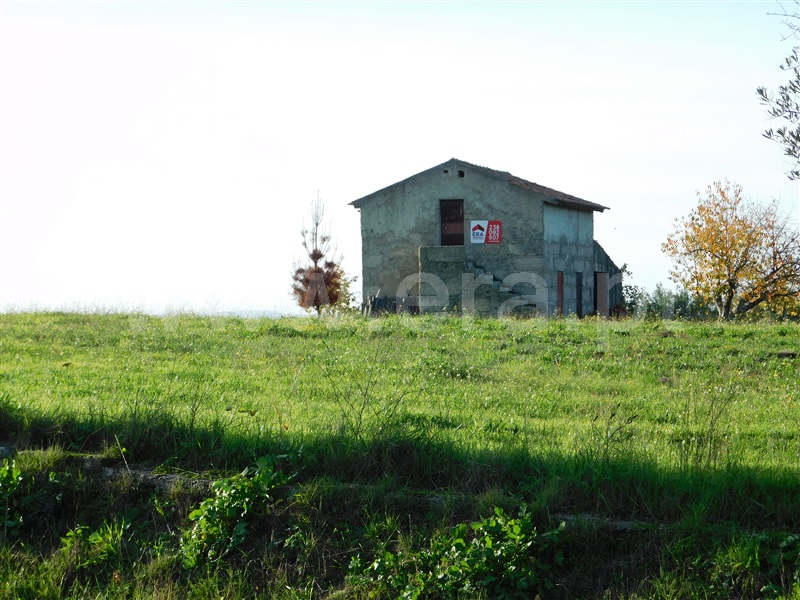 Quinta / Gouveia, São Paio