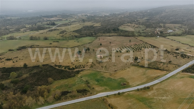 Quinta  Gouveia, Vila Cortês da Serra - 1203447 - 1