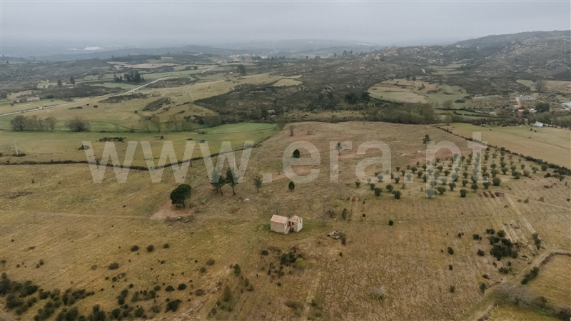 Quinta  Gouveia, Vila Cortês da Serra - 1203447 - 2