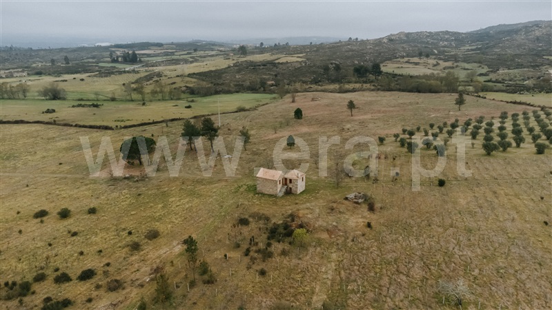 Quinta  Gouveia, Vila Cortês da Serra - 1203447 - 3