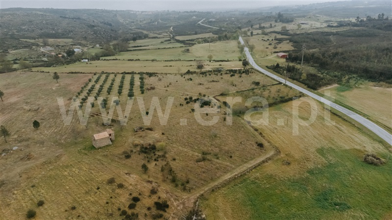 Quinta  Gouveia, Vila Cortês da Serra - 1203447 - 6