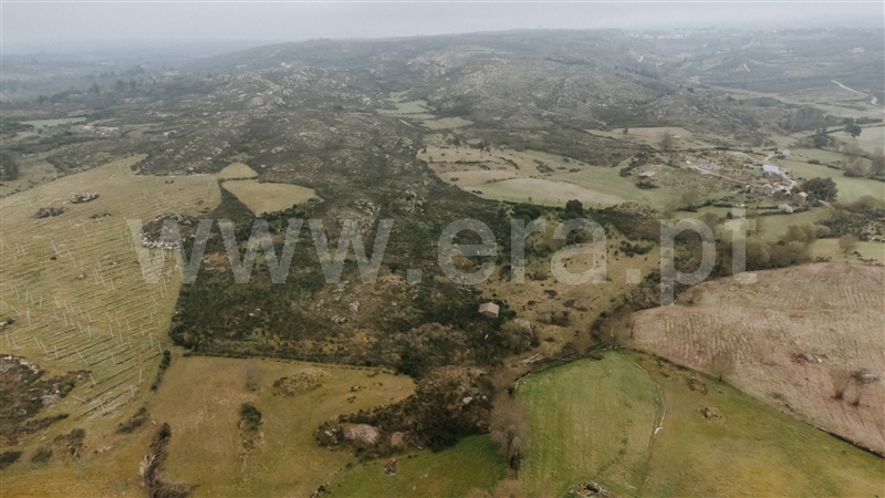 Quinta  Gouveia, Vila Cortês da Serra - 1203447 - 7