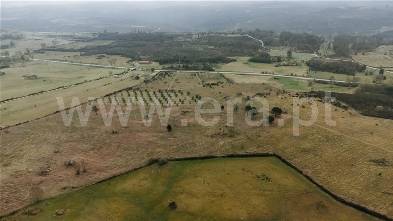 Quinta  Gouveia, Vila Cortês da Serra - 1203447 - 8