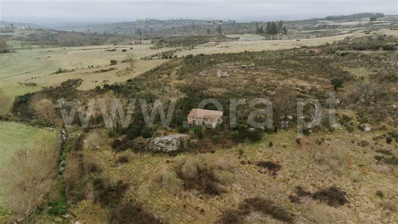 Quinta  Gouveia, Vila Cortês da Serra - 1203447 - 10