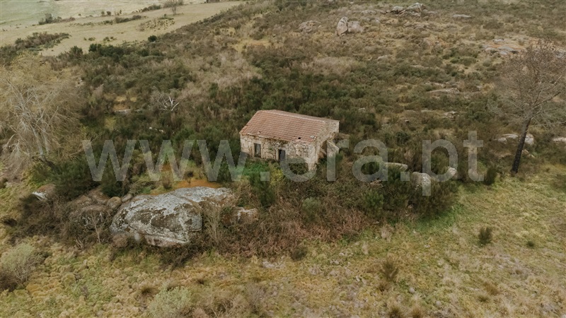Quinta  Gouveia, Vila Cortês da Serra - 1203447 - 11