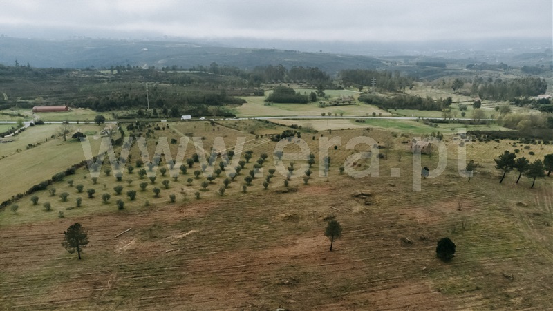 Quinta  Gouveia, Vila Cortês da Serra - 1203447 - 12