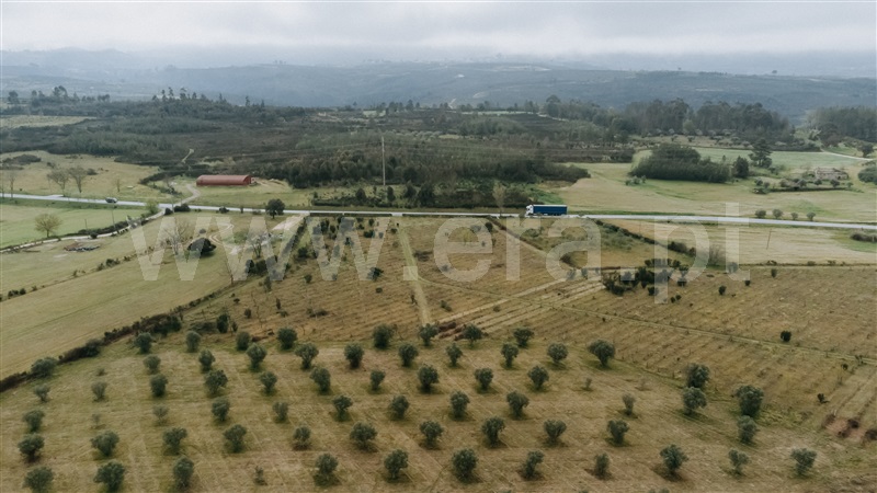 Quinta  Gouveia, Vila Cortês da Serra - 1203447 - 13