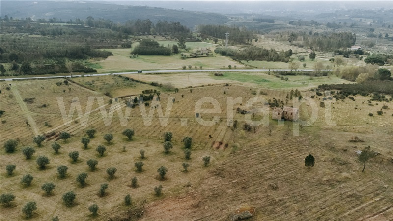 Quinta  Gouveia, Vila Cortês da Serra - 1203447 - 14