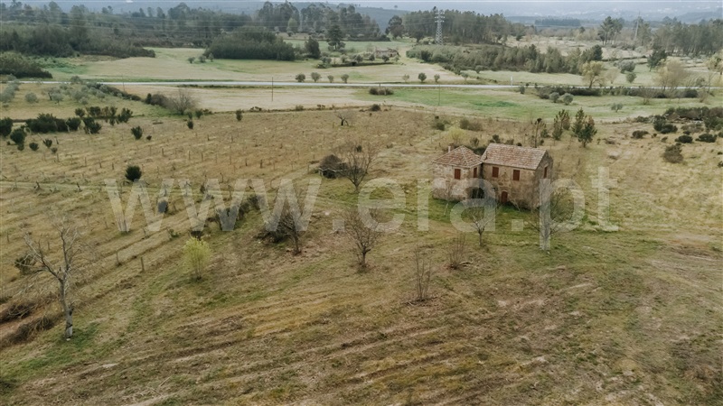 Quinta  Gouveia, Vila Cortês da Serra - 1203447 - 15