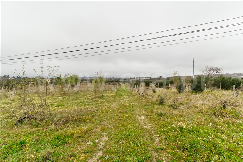Quinta  Gouveia, Vila Cortês da Serra - 1203447 - 18