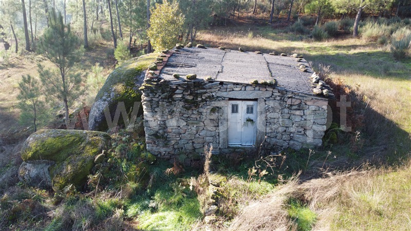Quinta T0 Gouveia, Vila Franca da Serra - 1445163 - 3