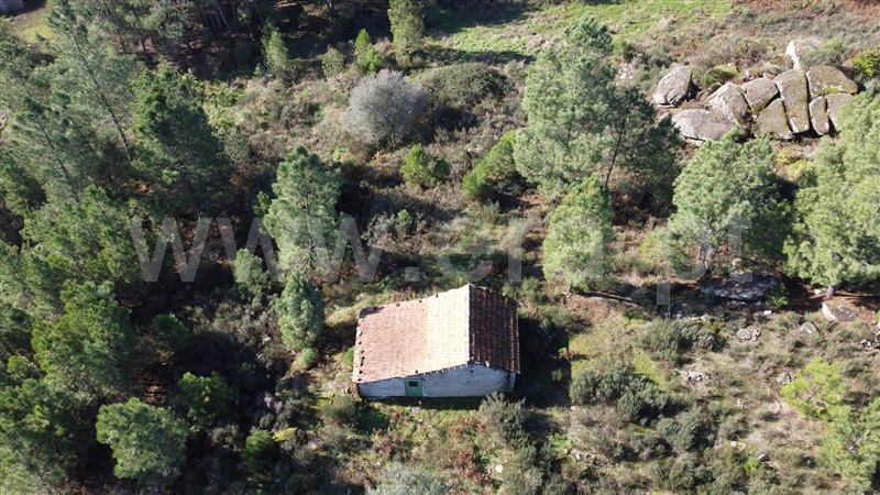 Quinta T0 Gouveia, Vila Franca da Serra - 1445163 - 9