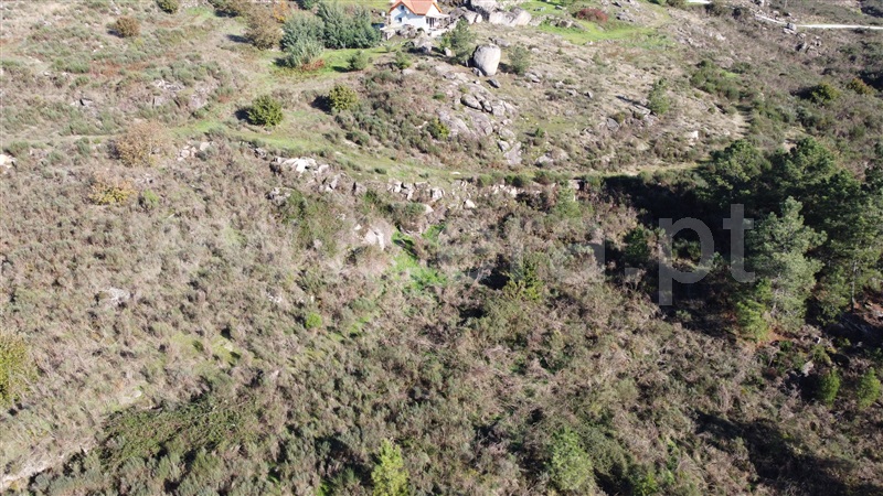 Quinta T0 Gouveia, Vila Franca da Serra - 1445163 - 11