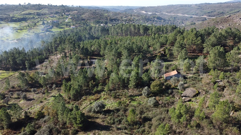 Quinta T0 Gouveia, Vila Franca da Serra - 1445163 - 12
