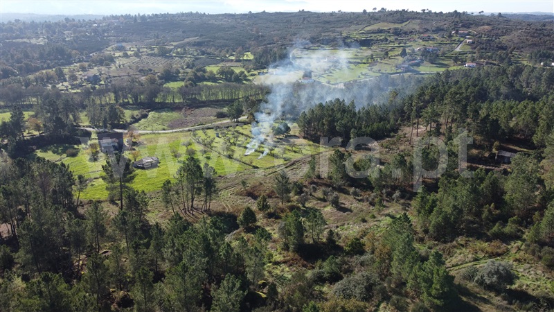 Quinta T0 Gouveia, Vila Franca da Serra - 1445163 - 13