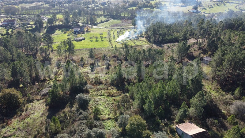 Quinta T0 Gouveia, Vila Franca da Serra - 1445163 - 17