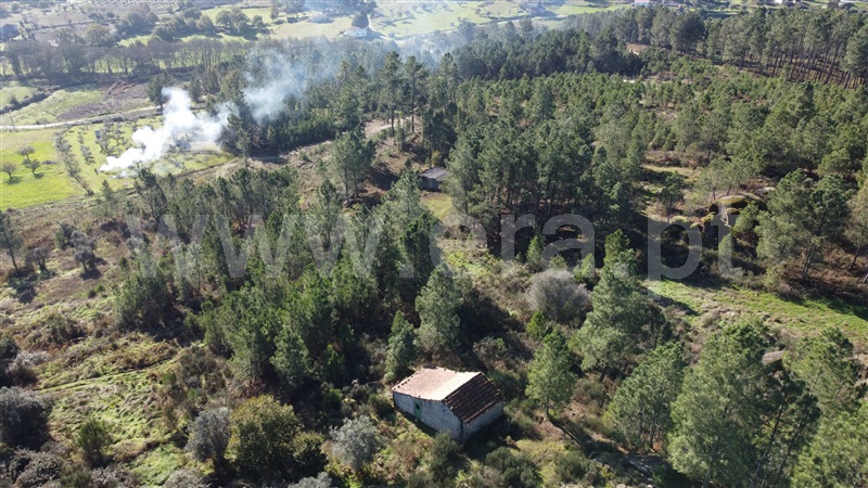 Quinta T0 Gouveia, Vila Franca da Serra - 1445163 - 18