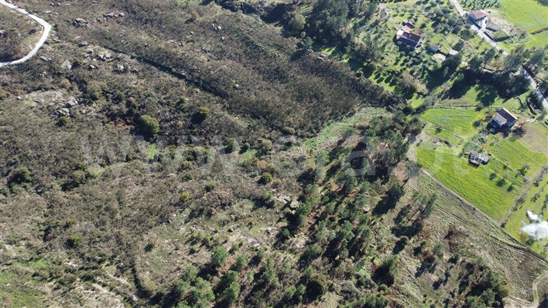 Quinta T0 Gouveia, Vila Franca da Serra - 1445163 - 24
