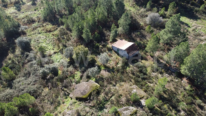 Quinta / Gouveia, Vila Franca da Serra