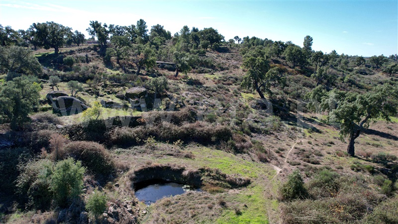 Quinta  Idanha-a-Nova, Aldeia de Santa Margarida - 1445353 - 3