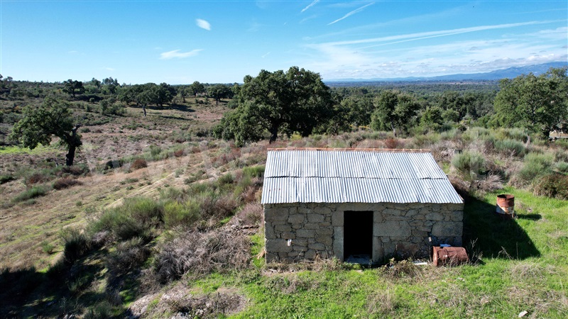 Quinta  Idanha-a-Nova, Aldeia de Santa Margarida - 1445353 - 4