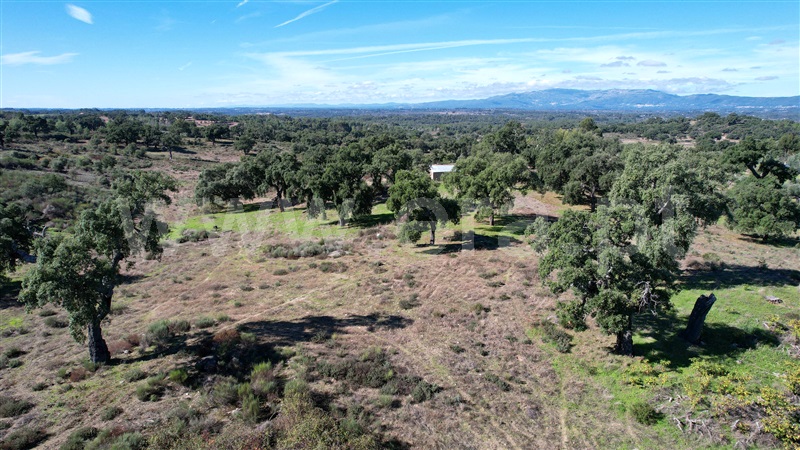Quinta  Idanha-a-Nova, Aldeia de Santa Margarida - 1445353 - 5