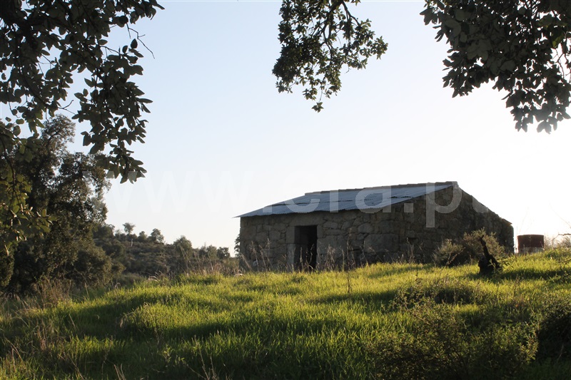 Quinta  Idanha-a-Nova, Aldeia de Santa Margarida - 1445353 - 10