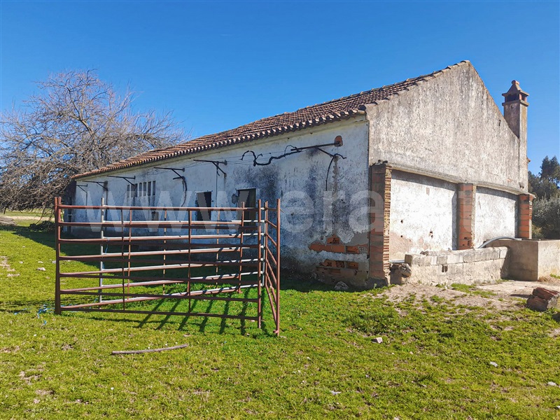 Quinta  Idanha-a-Nova, Ladoeiro - 1060585 - 4