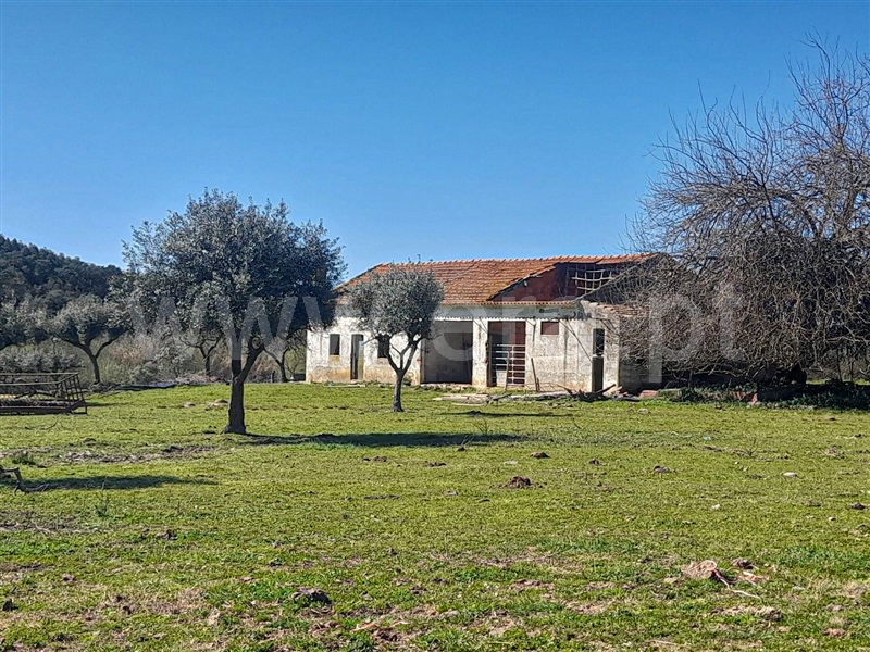 Quinta  Idanha-a-Nova, Ladoeiro - 1060585 - 7