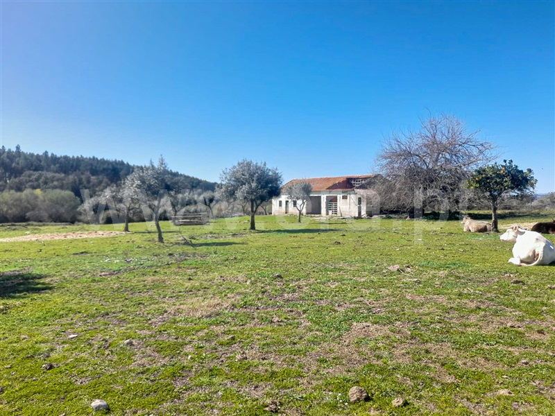 Quinta  Idanha-a-Nova, Ladoeiro - 1060585 - 8
