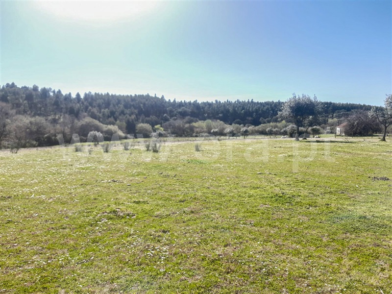 Quinta  Idanha-a-Nova, Ladoeiro - 1060585 - 10