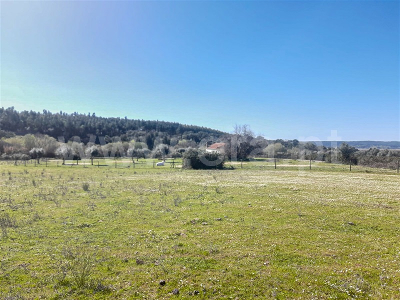 Quinta  Idanha-a-Nova, Ladoeiro - 1060585 - 11