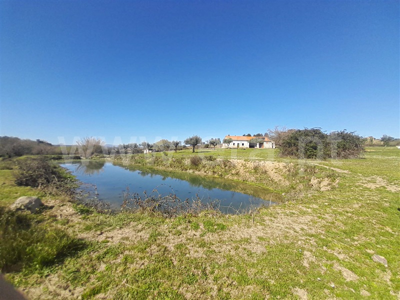 Quinta  Idanha-a-Nova, Ladoeiro - 1060585 - 13