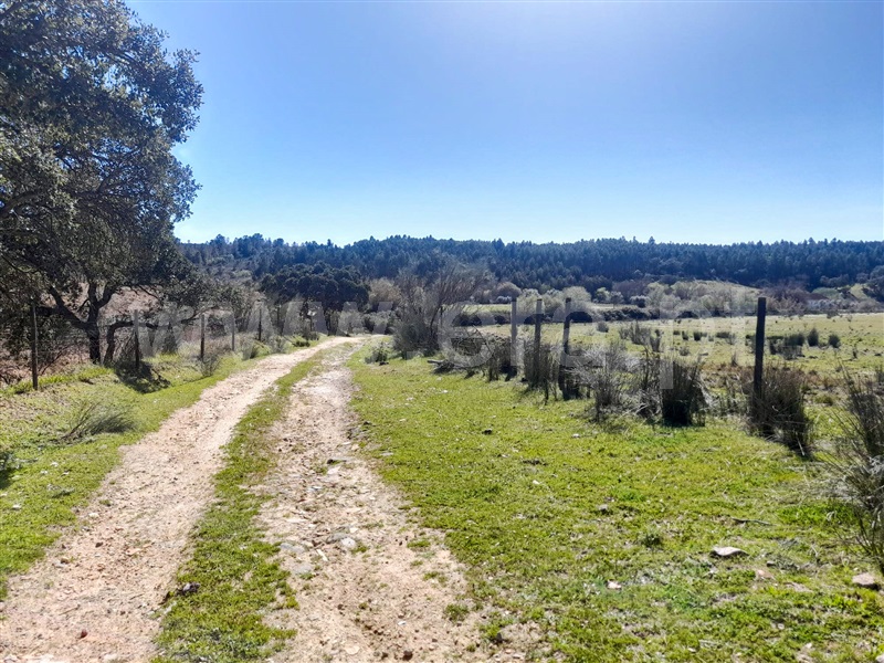 Quinta  Idanha-a-Nova, Ladoeiro - 1060585 - 15